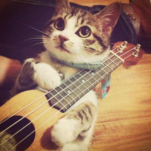 美女被❌到爽🔞高潮
